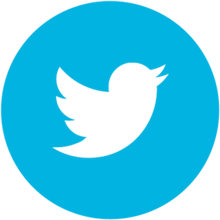 Logo Twitter